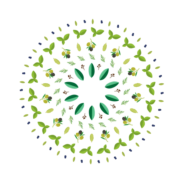 ILLUSTRAZIONE ARTE BISCEGLIE