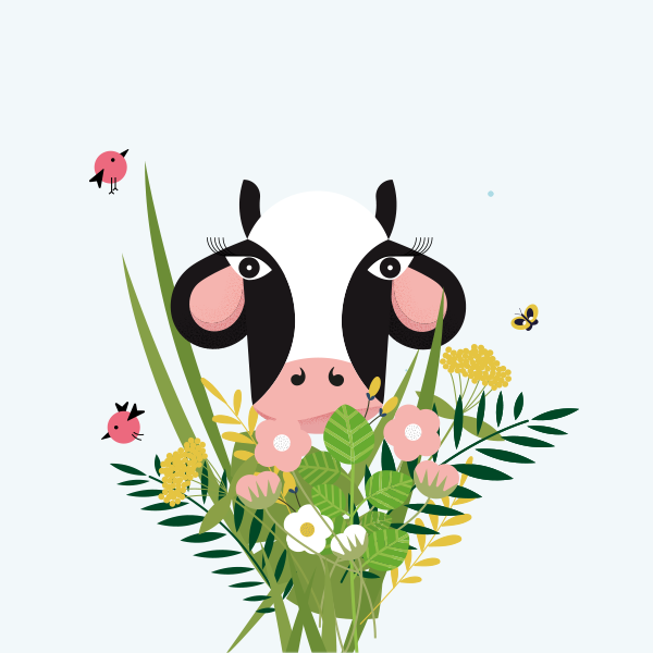 MUCCA COSTA EDUTAINMENT